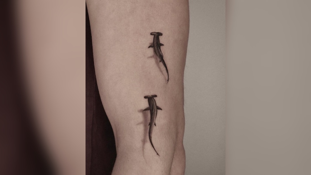 Hammer Shark Tattoo Meaning