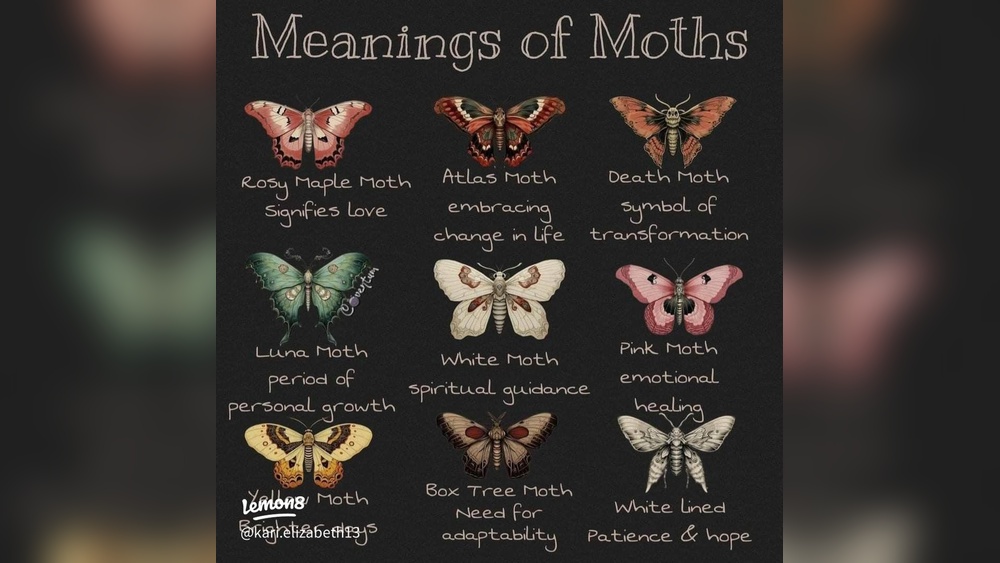 Luna Moth Tattoo Meaning