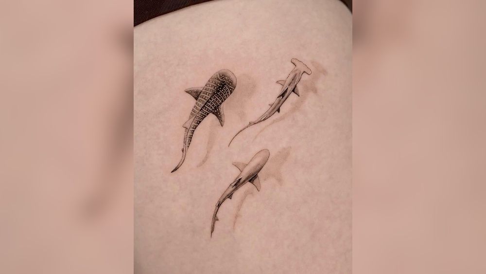 Shark Tattoo Meaning