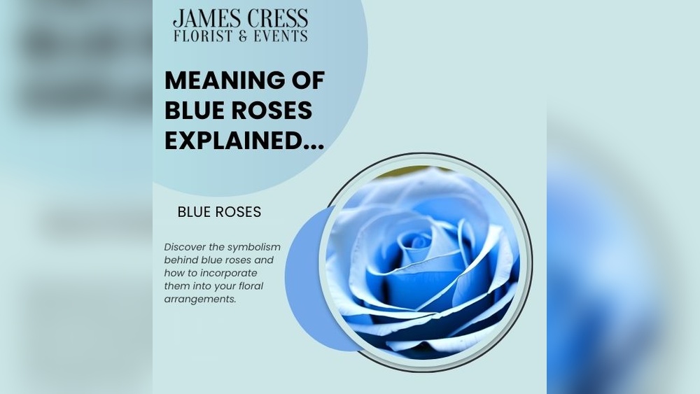 blue rose tattoo meaning jpg