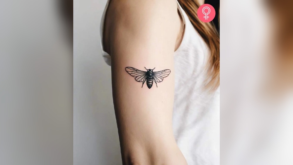 cicada tattoo meaning.jpg