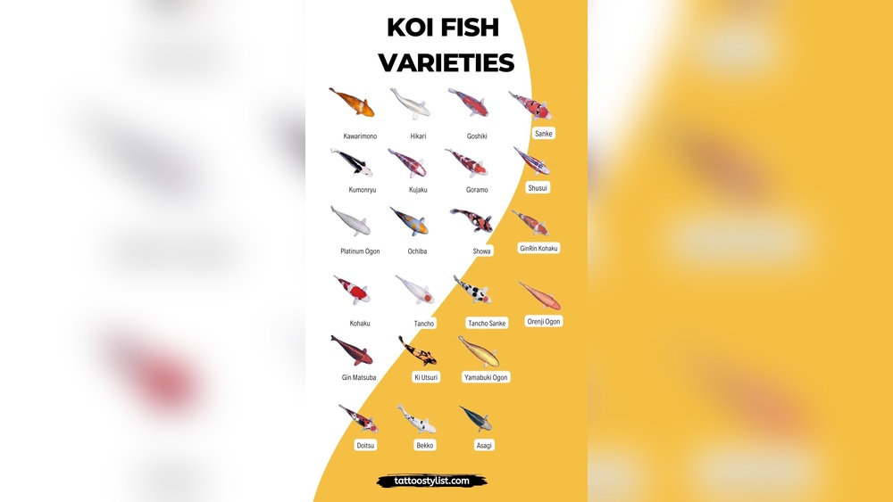 fish tattoo meaning.jpg